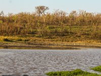 Marion, Romane South Africa 2014 (36 of 45) : KNP Pretoriuskop, Marion visit